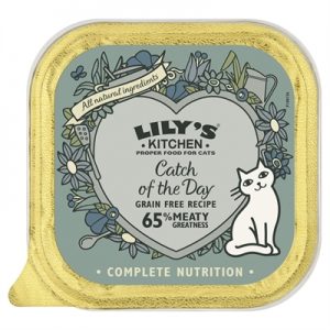 Lily’s kitchen cat catch of the day